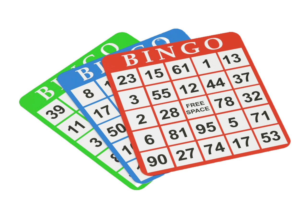 Bingo hava mysite clipart logo