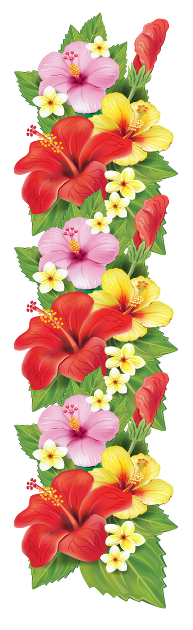 Flower border exotic flowers decoration clipart picture