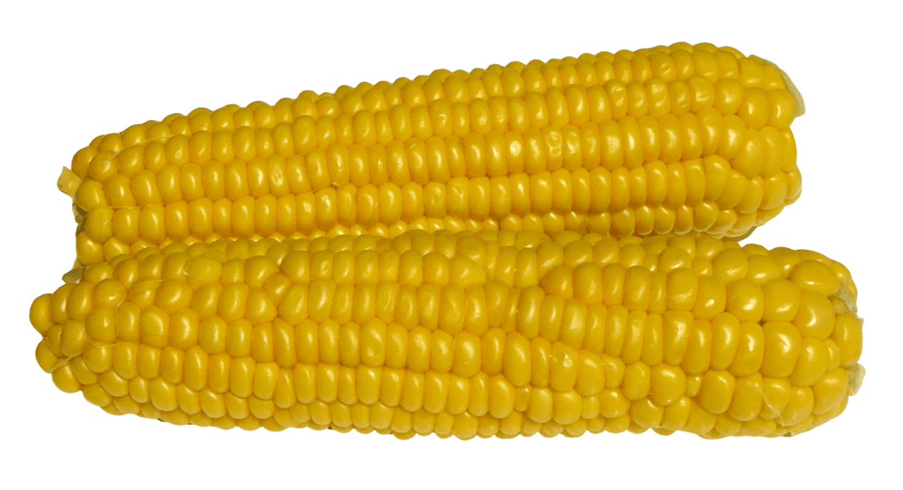 Corn clipart transparent