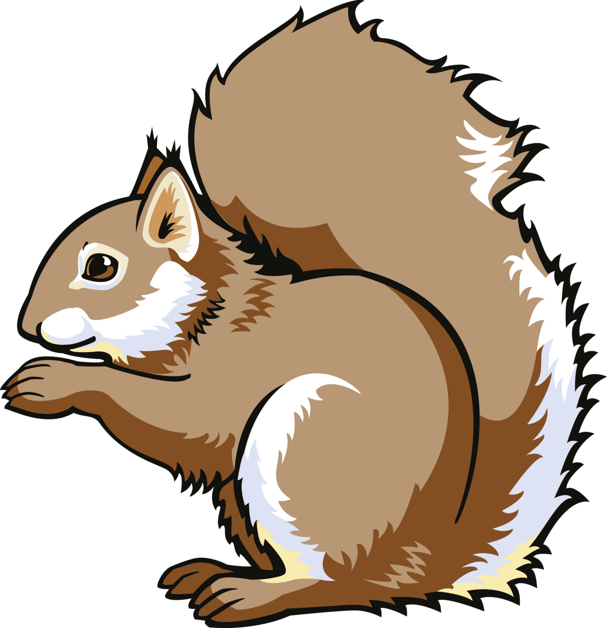 Squirrel pin page clipart background