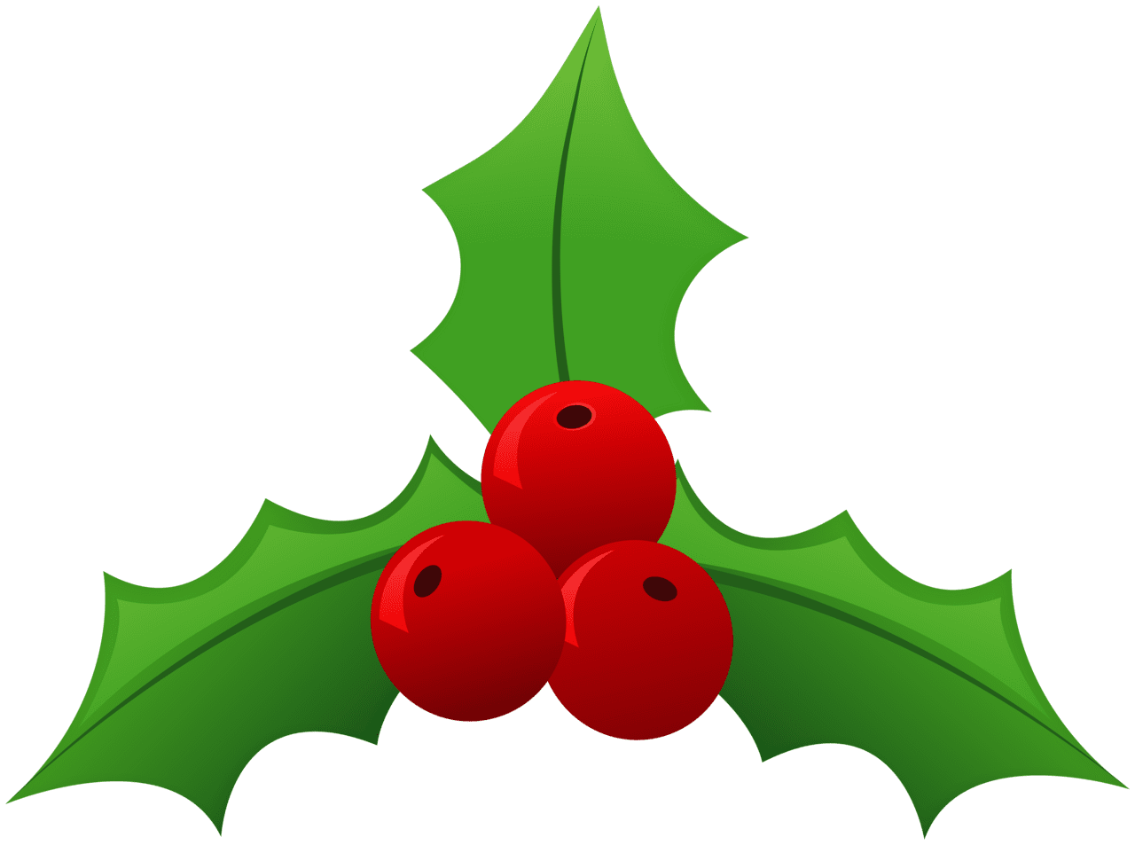 Holly clipart image high quality images and