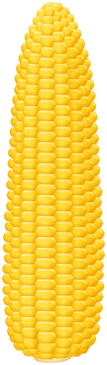 Corn clipart high quality images and 2