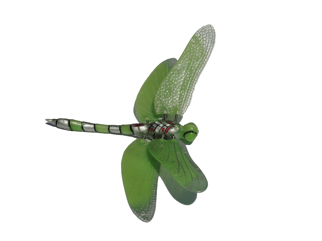 Dragonfly clipart images