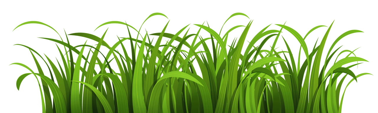 Garden grass clipart background