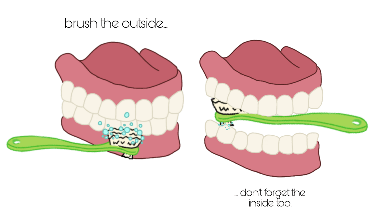 Brush teeth denture cleaning guide for smiles centre clipart picture