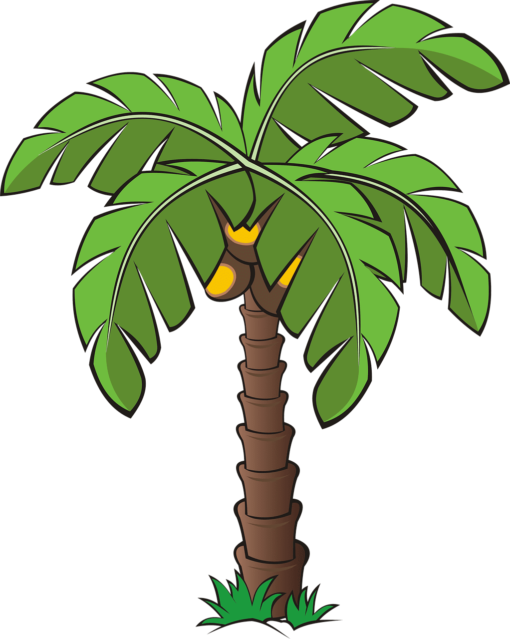 Farm tree trees palm image clipart