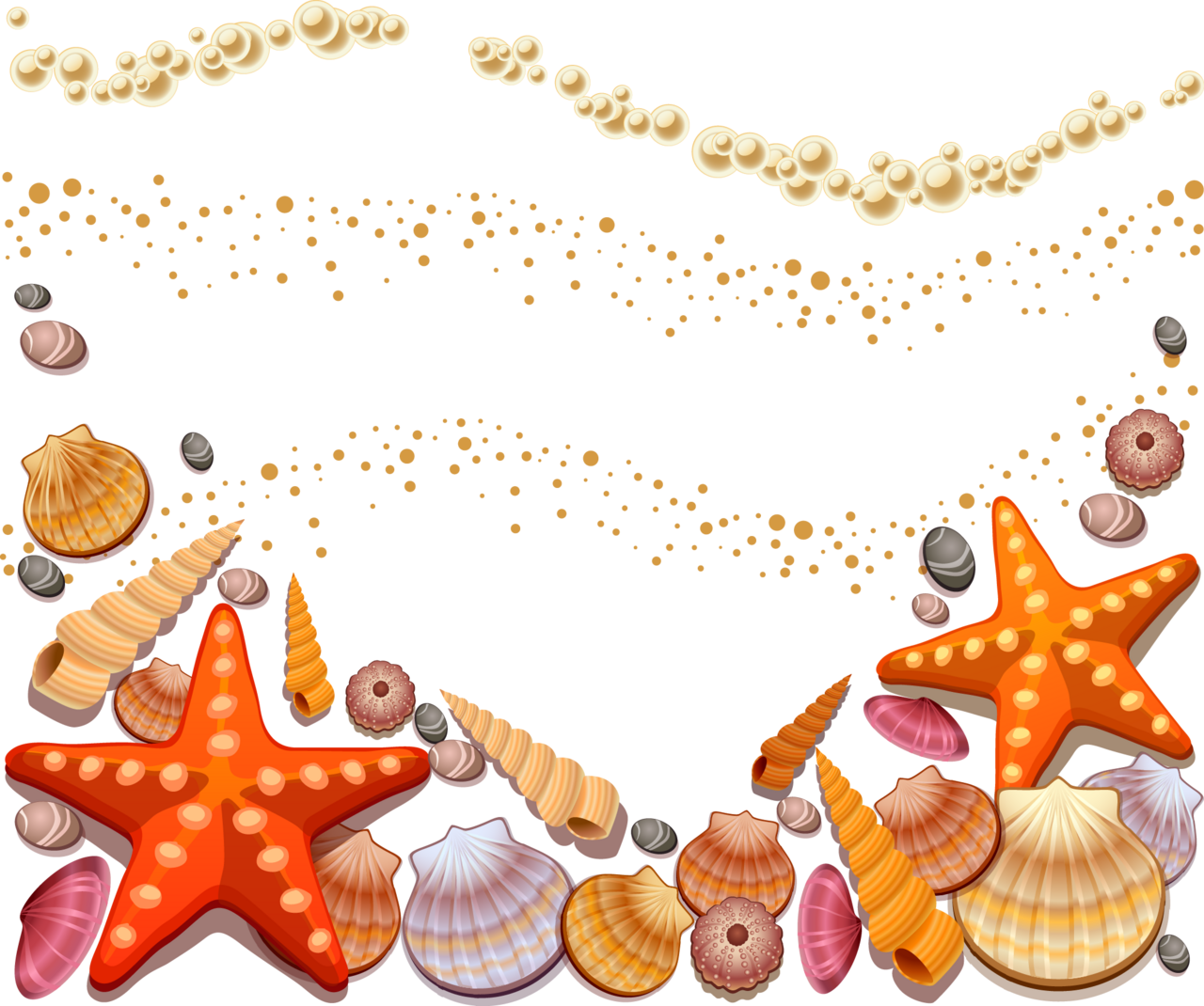 Seashell snail cartoon unlimited clea clipart vector