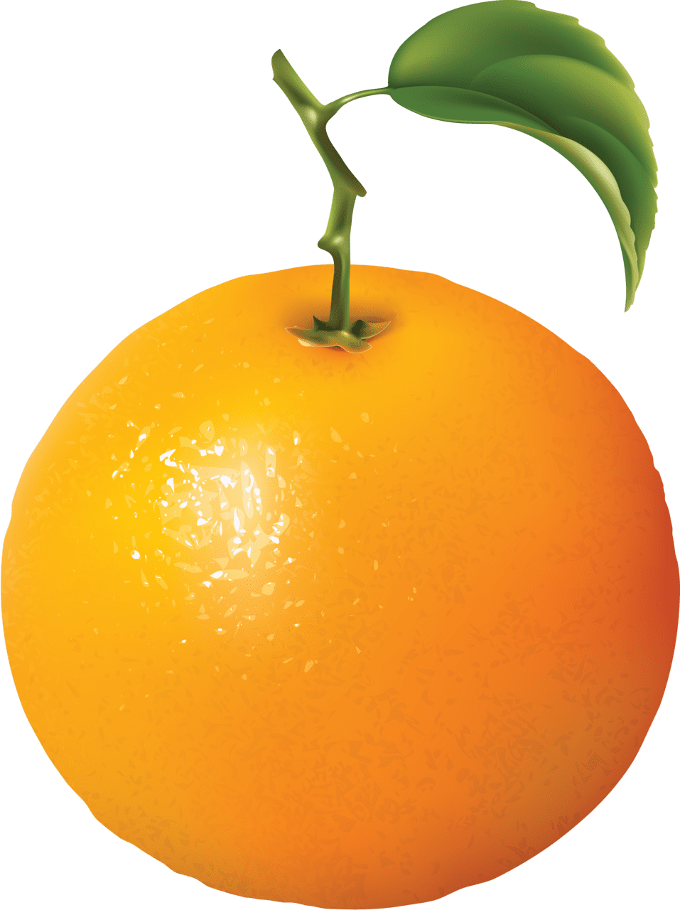 Orange clipart image