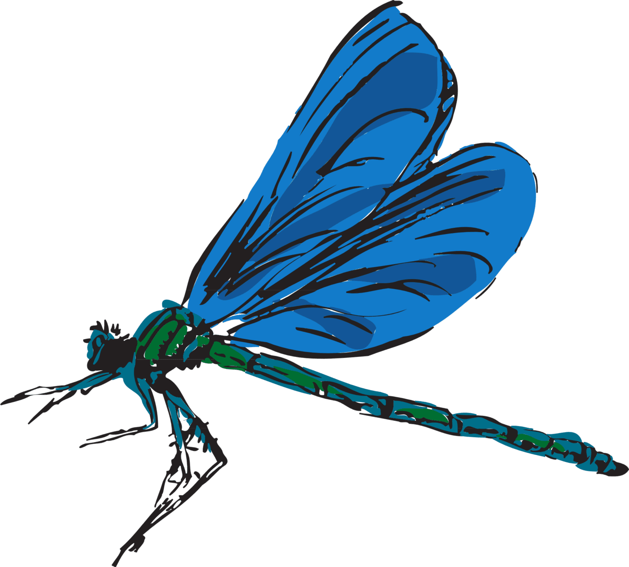 Dragonfly flying wings insect clipart image with no background