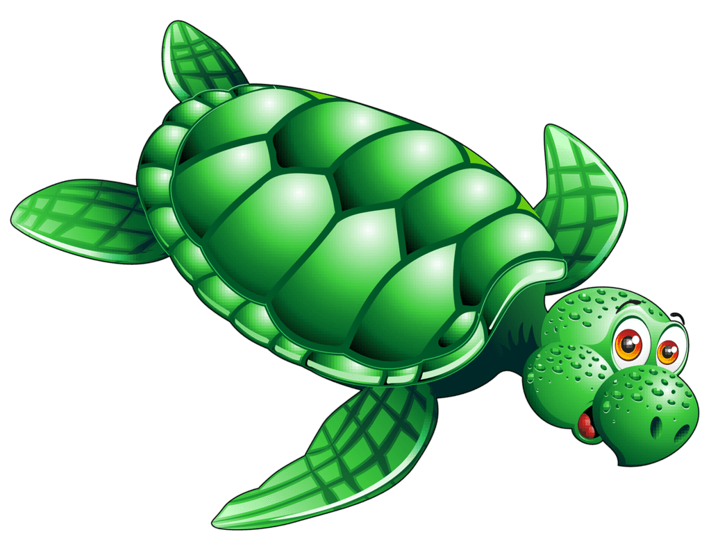 Sea turtle clipart picture 2