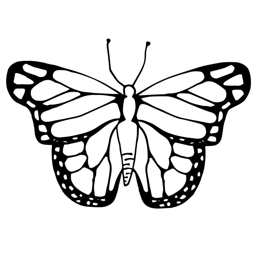 Butterfly black and white pin page clipart vector