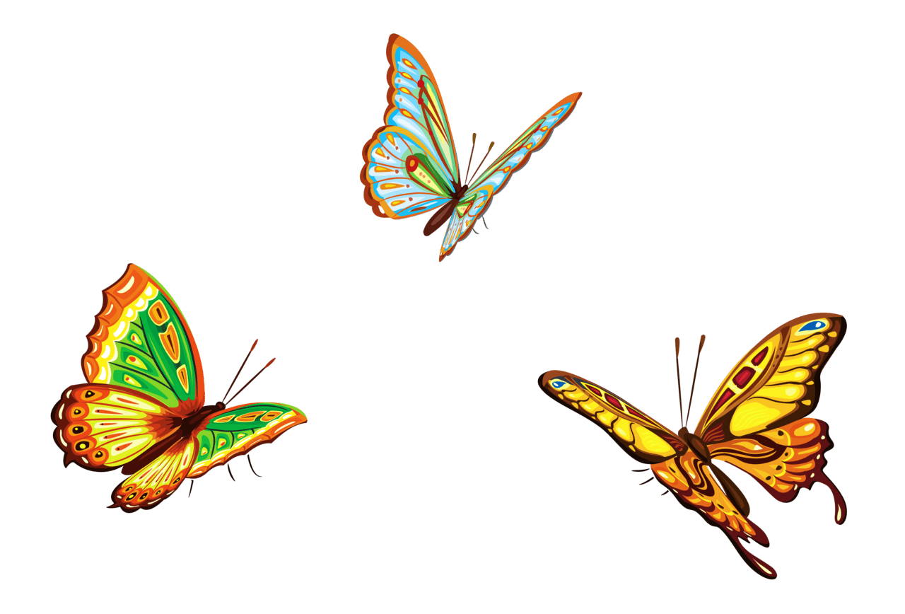 Bug three butterflies clipart picture