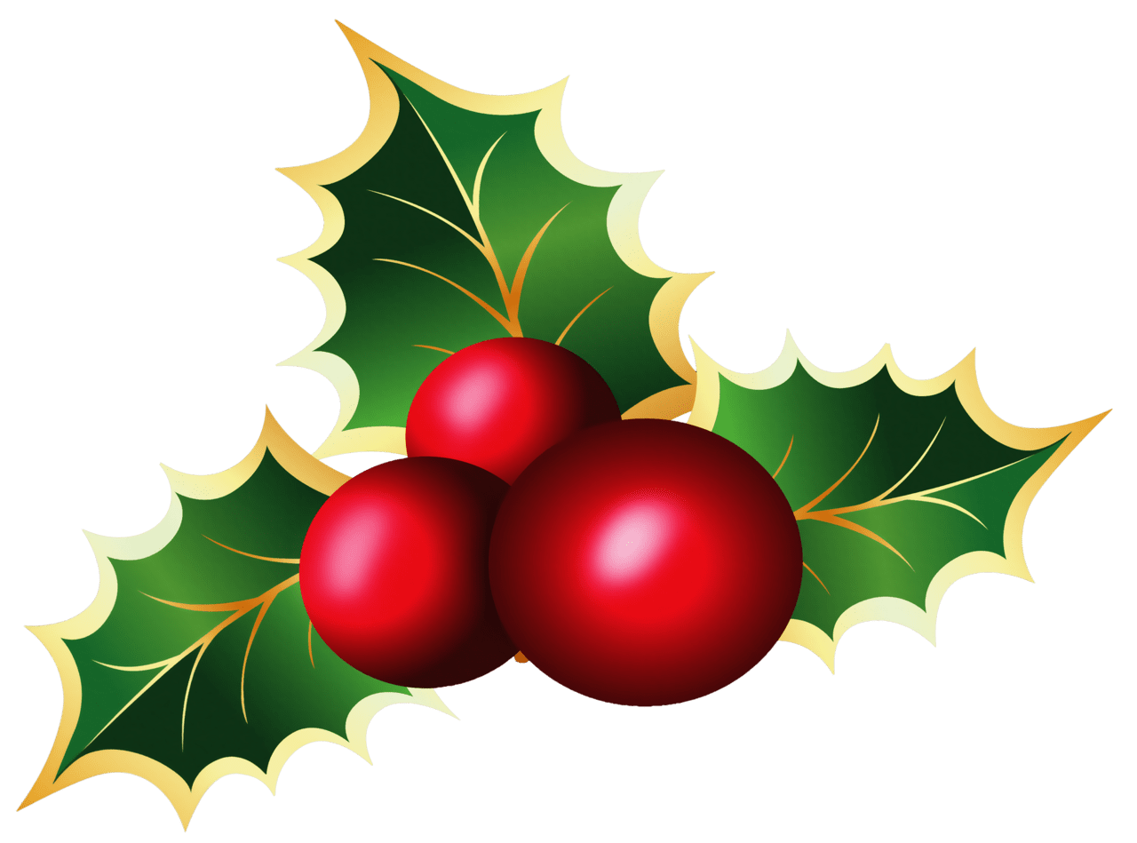 Holly christmas mistletoe picture clipart