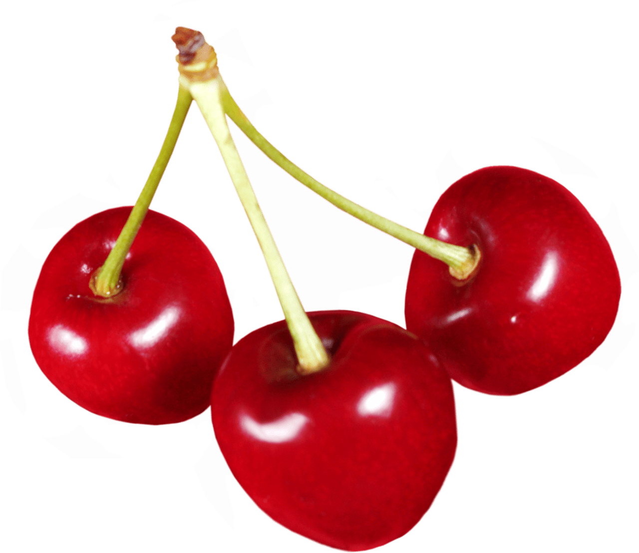 Cherry clipart image