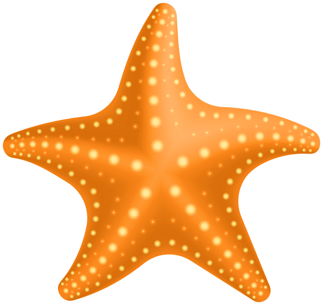 Starfish clipart high quality images and