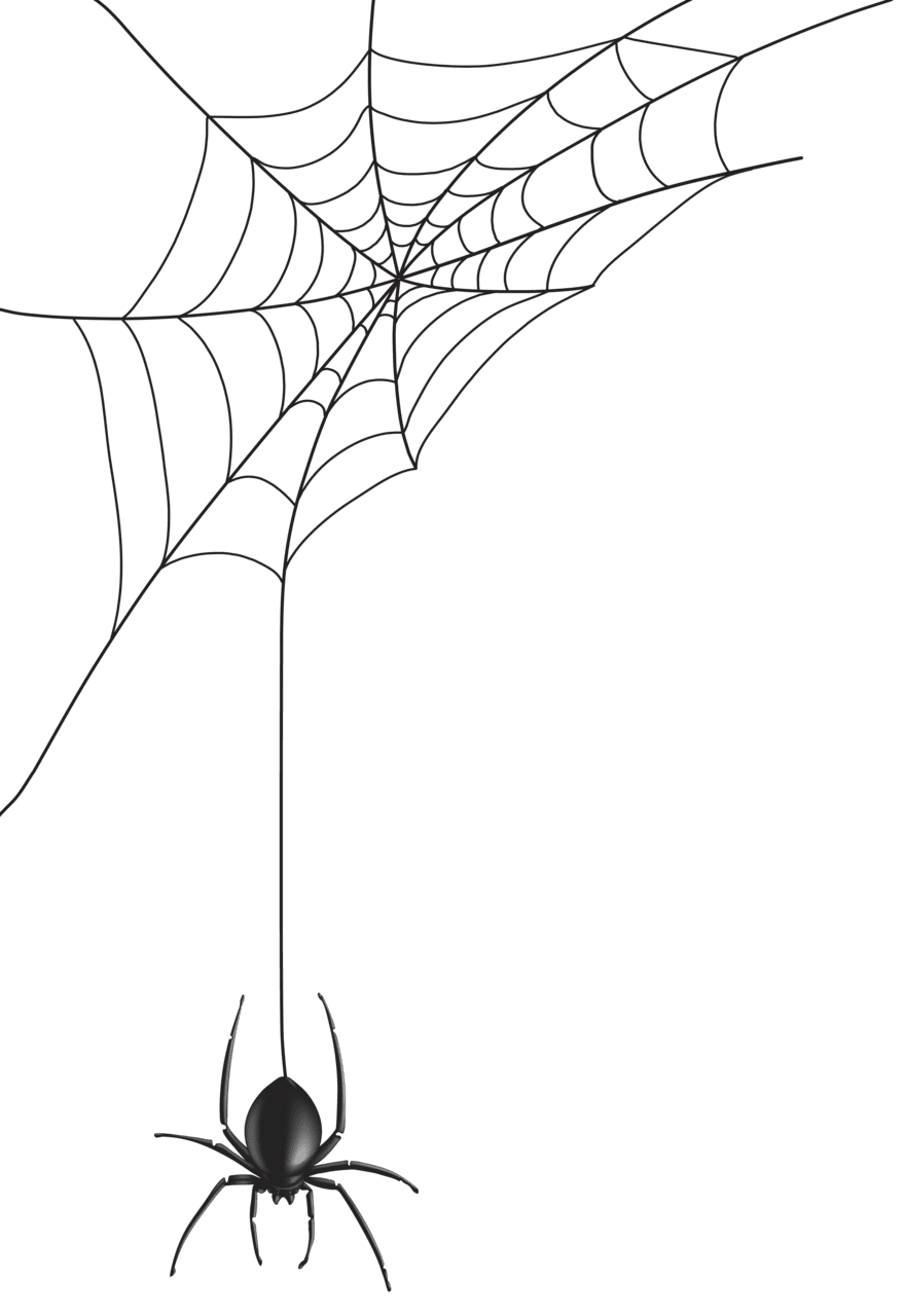 Spider clipart image