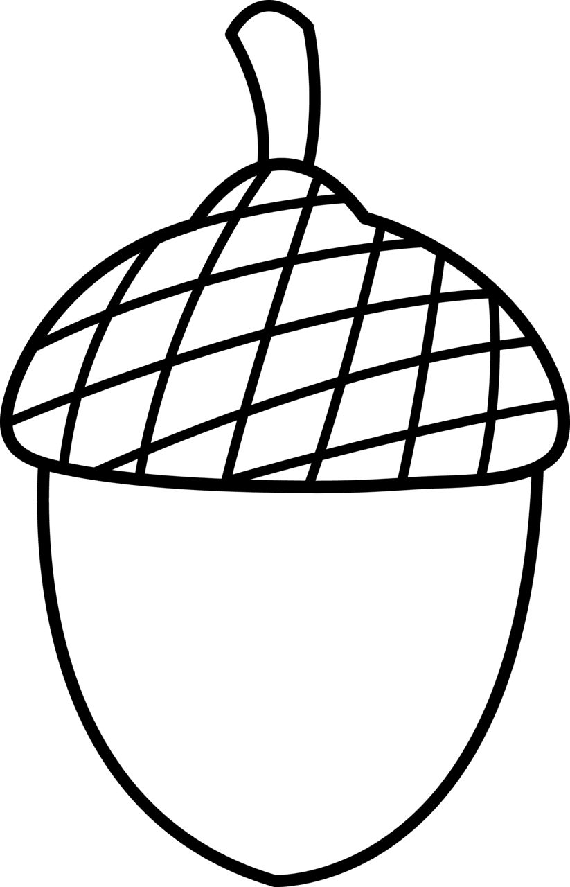 Black and white acorn clipart clipground free