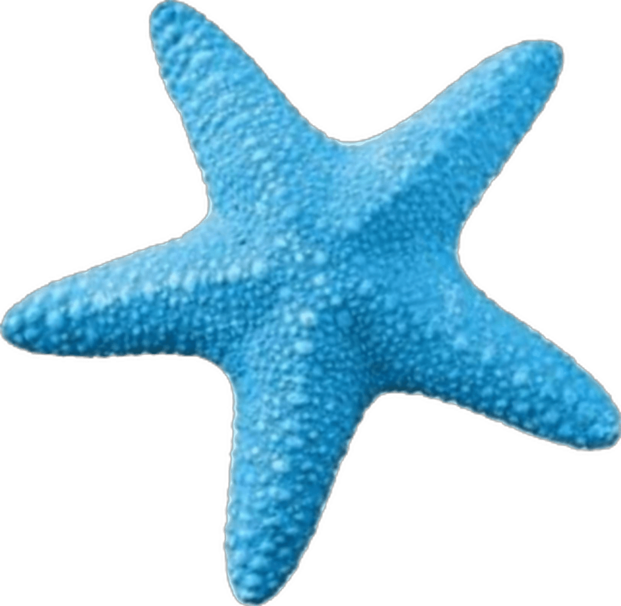 Starfish blue clipart free