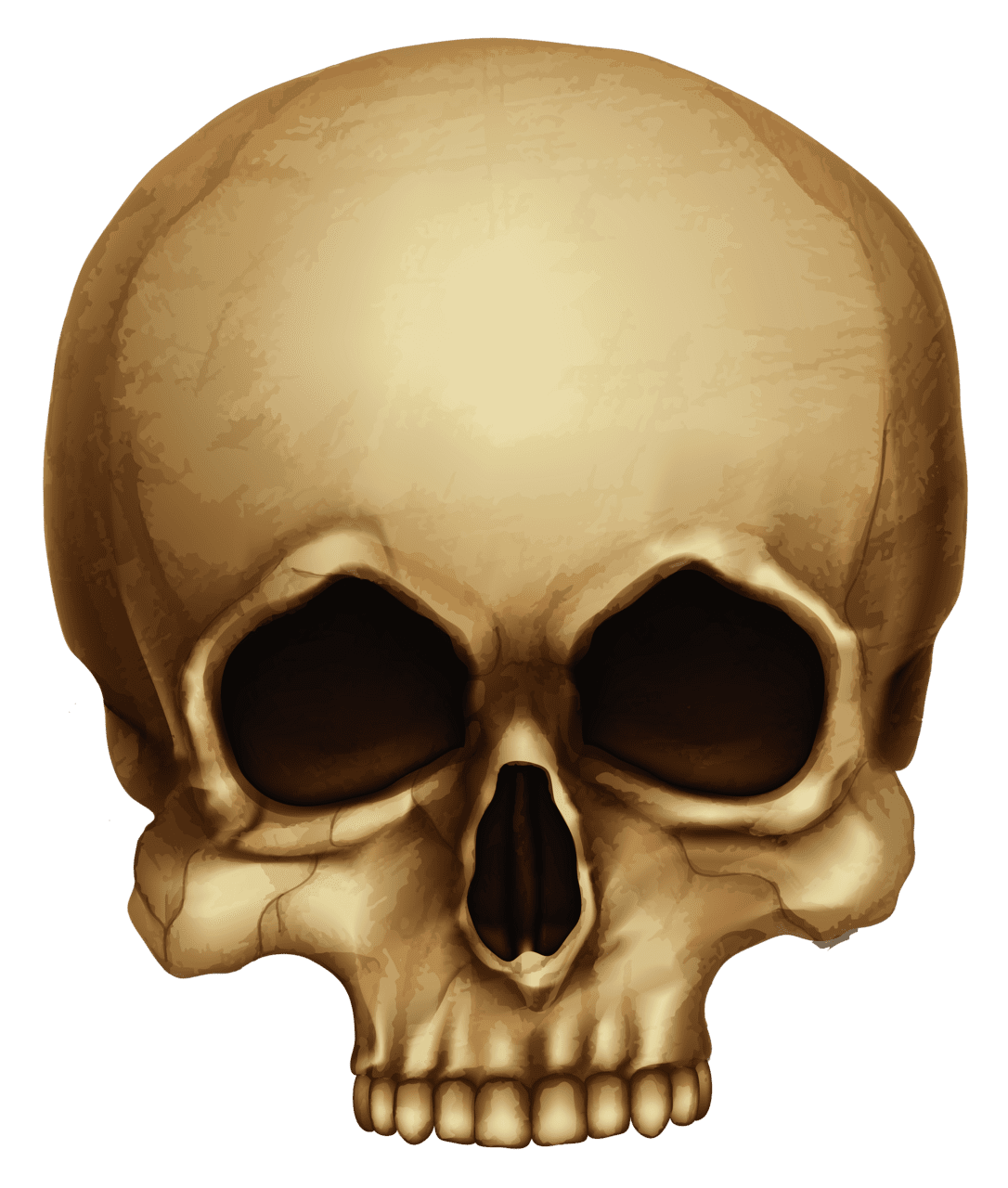 Skeleton skulls clipart free 2