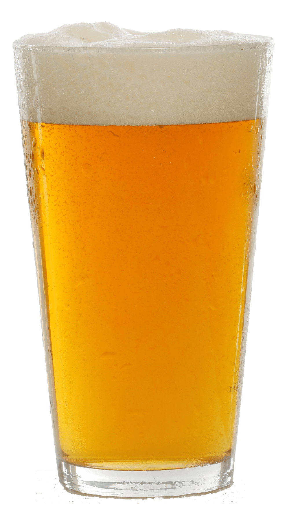 Beer in mug image for clipart