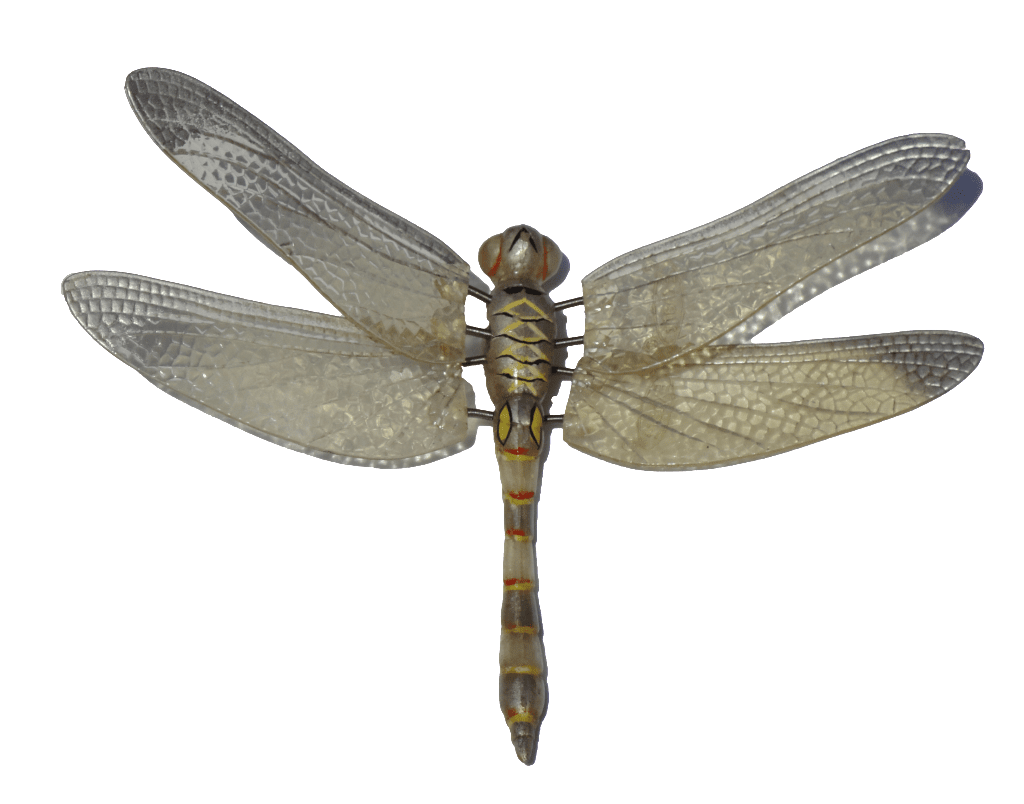 Dragonfly clipart free