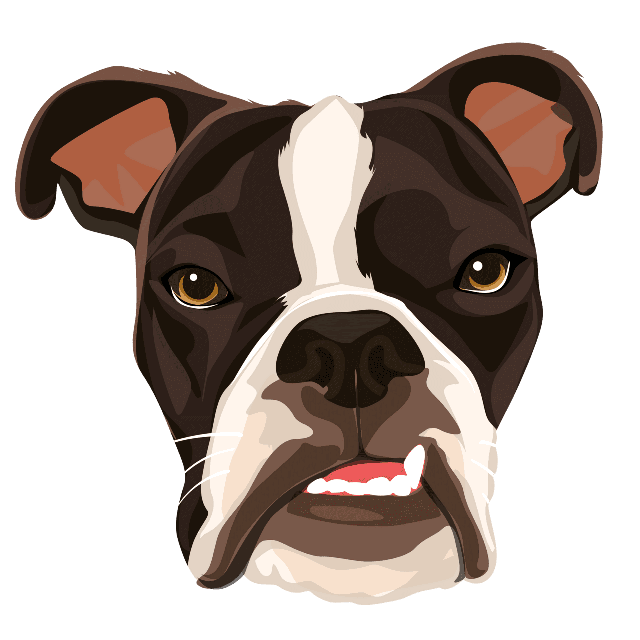 Bulldog rachael clipart background