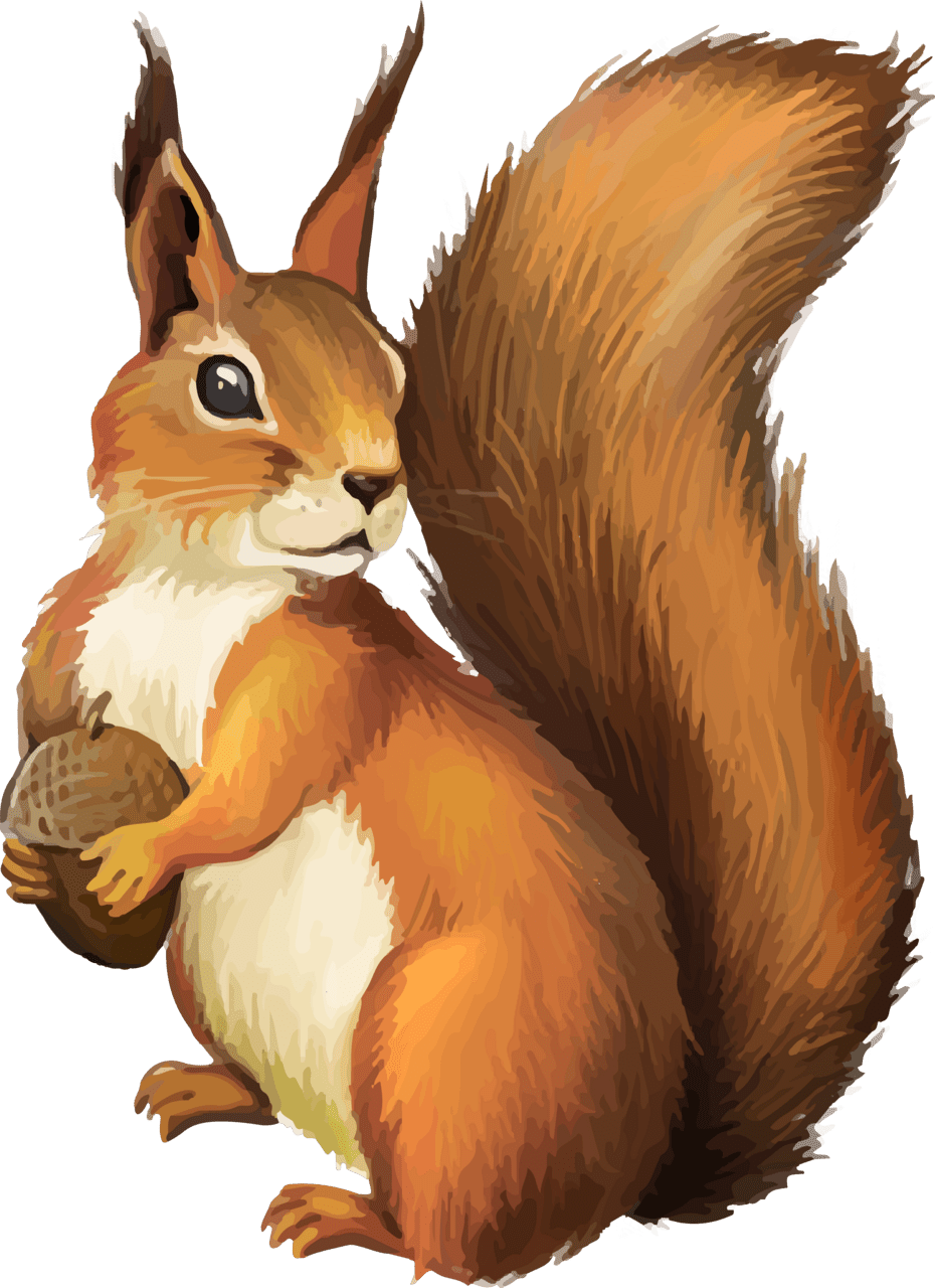 Squirrel page clipart logo