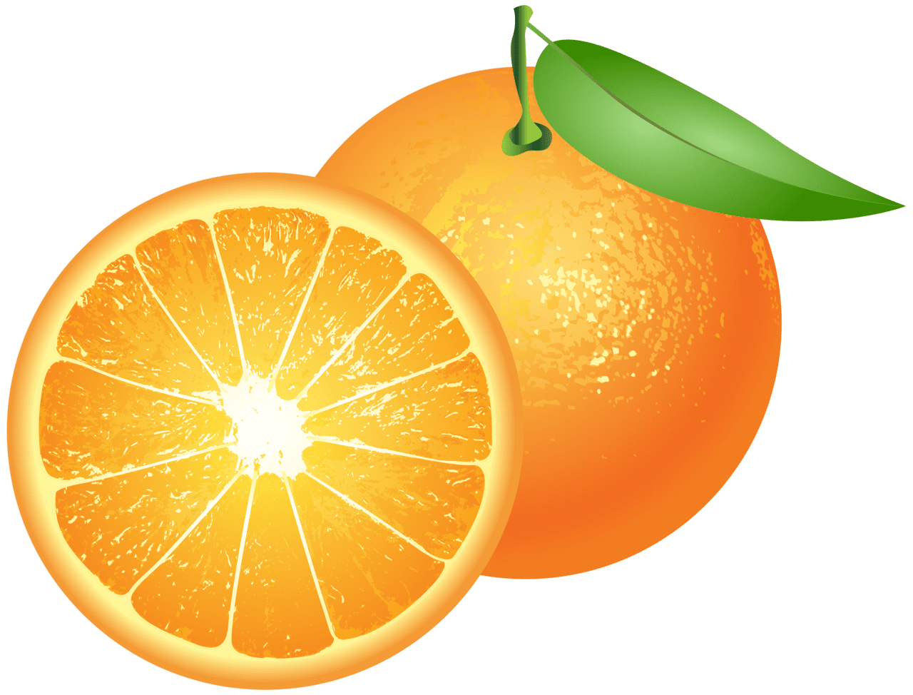 Orange clipart logo