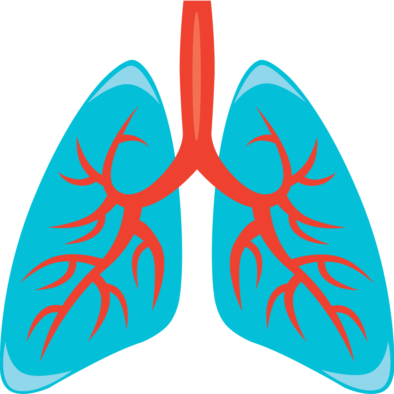 Lungs vector clipart images 5