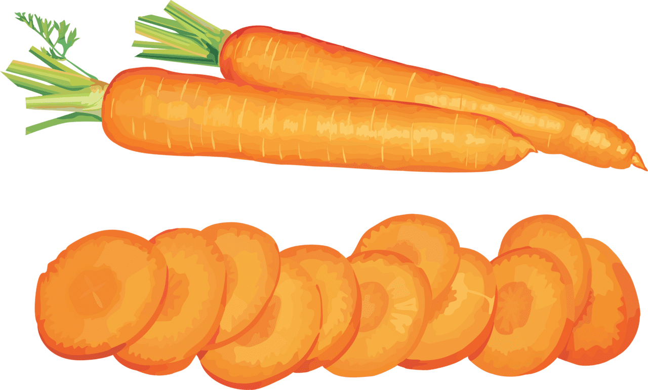 Vegetable carrot clipart clip art