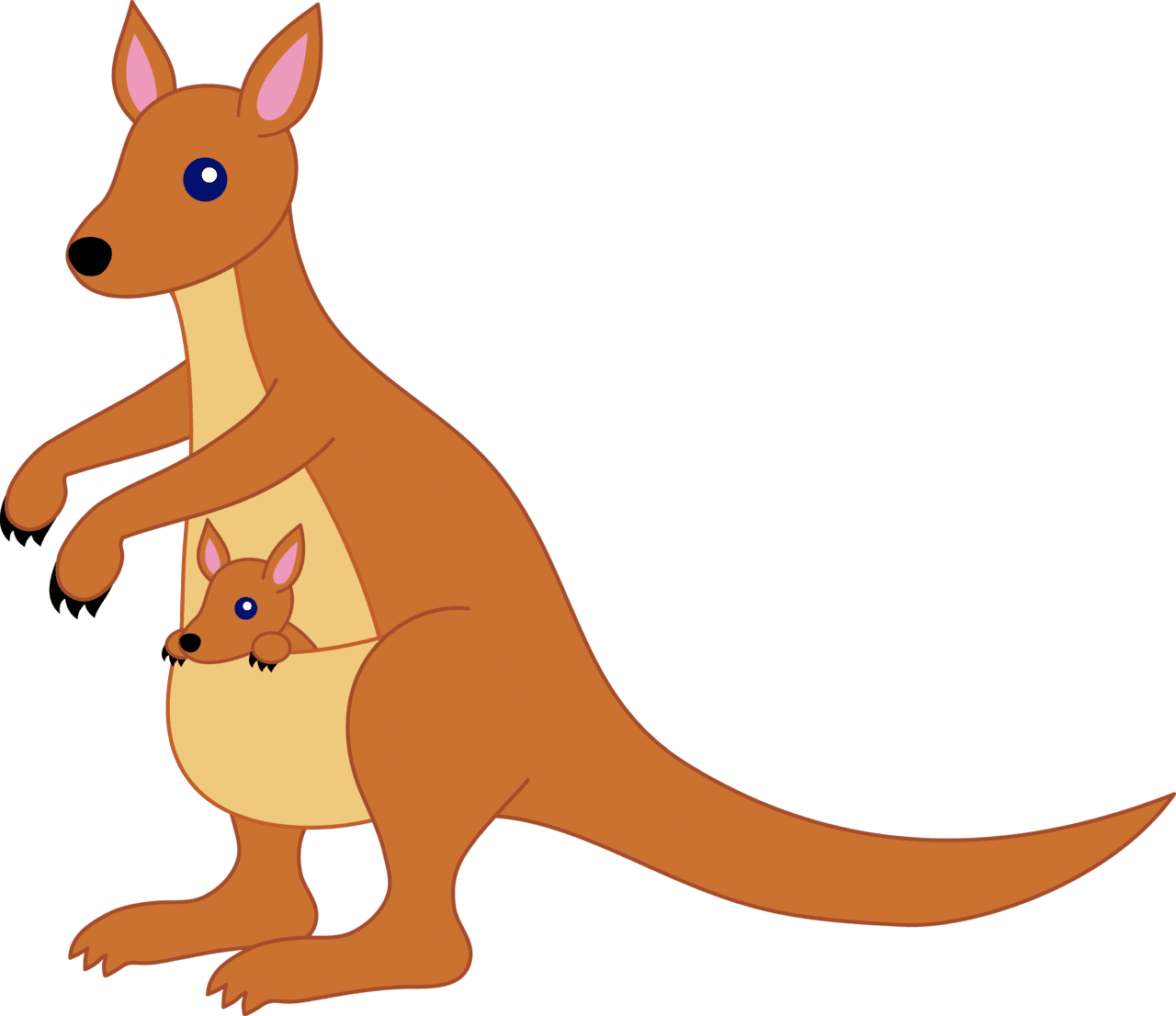 Pictures of kangaroo images clipart