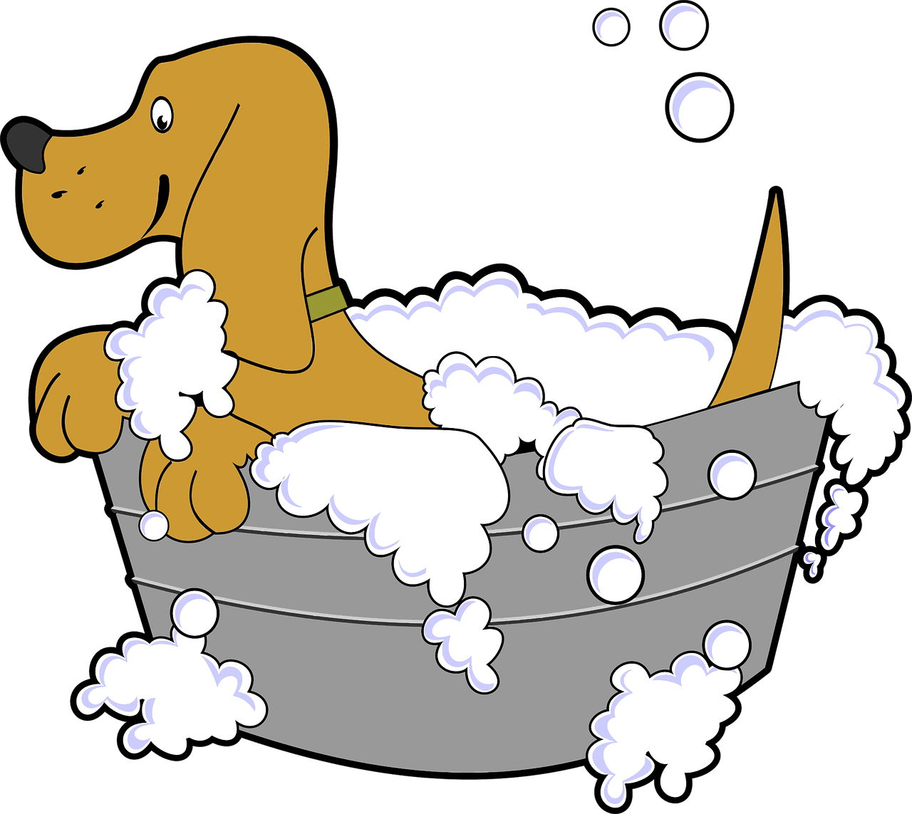 Animal bath canine vector graphic clipart