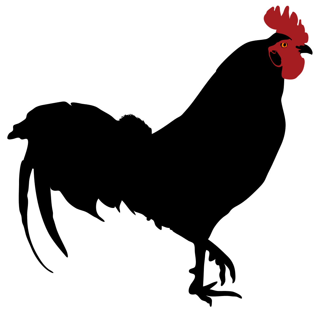 Rooster silhouette wikipedia clipart background