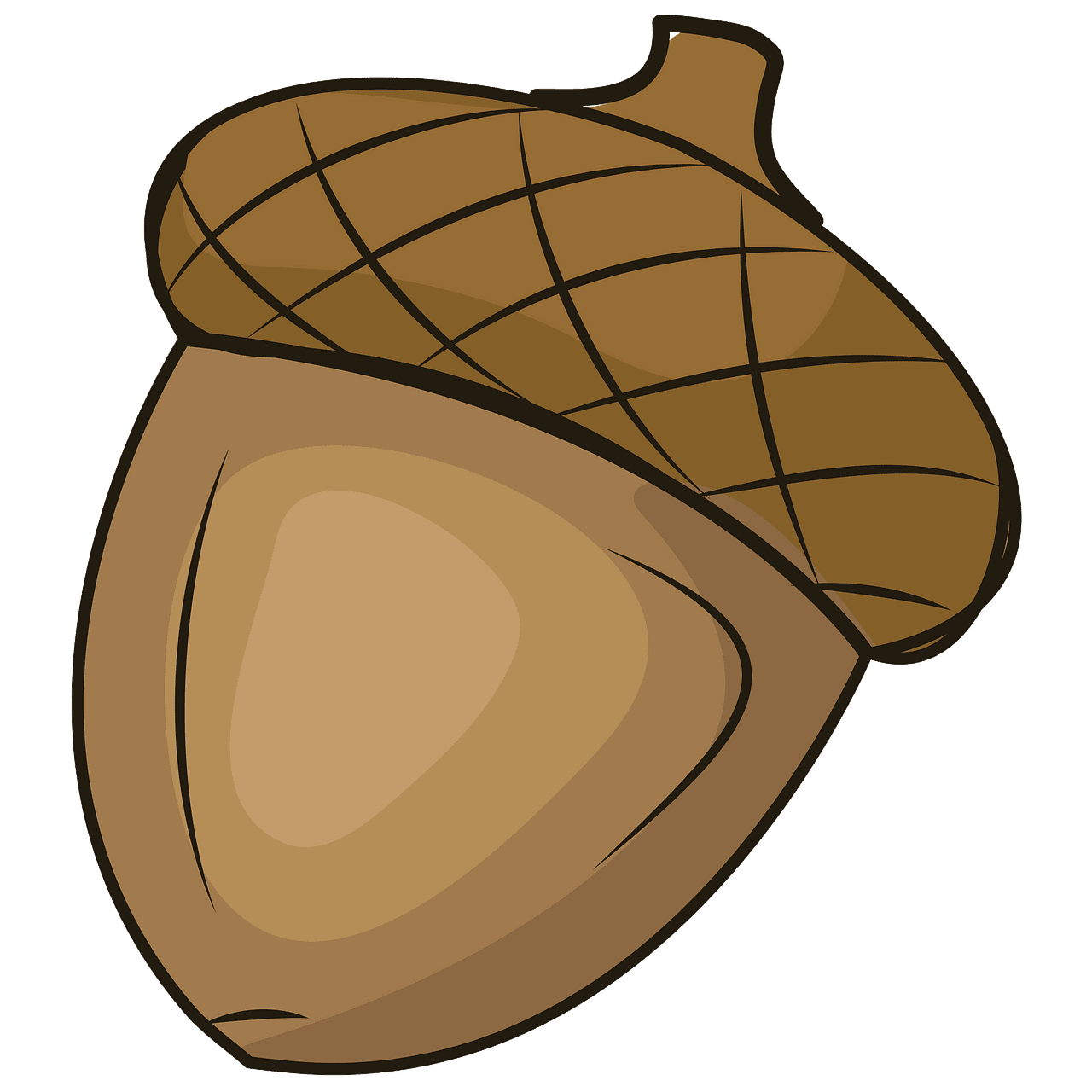 Acorn vector clipart images