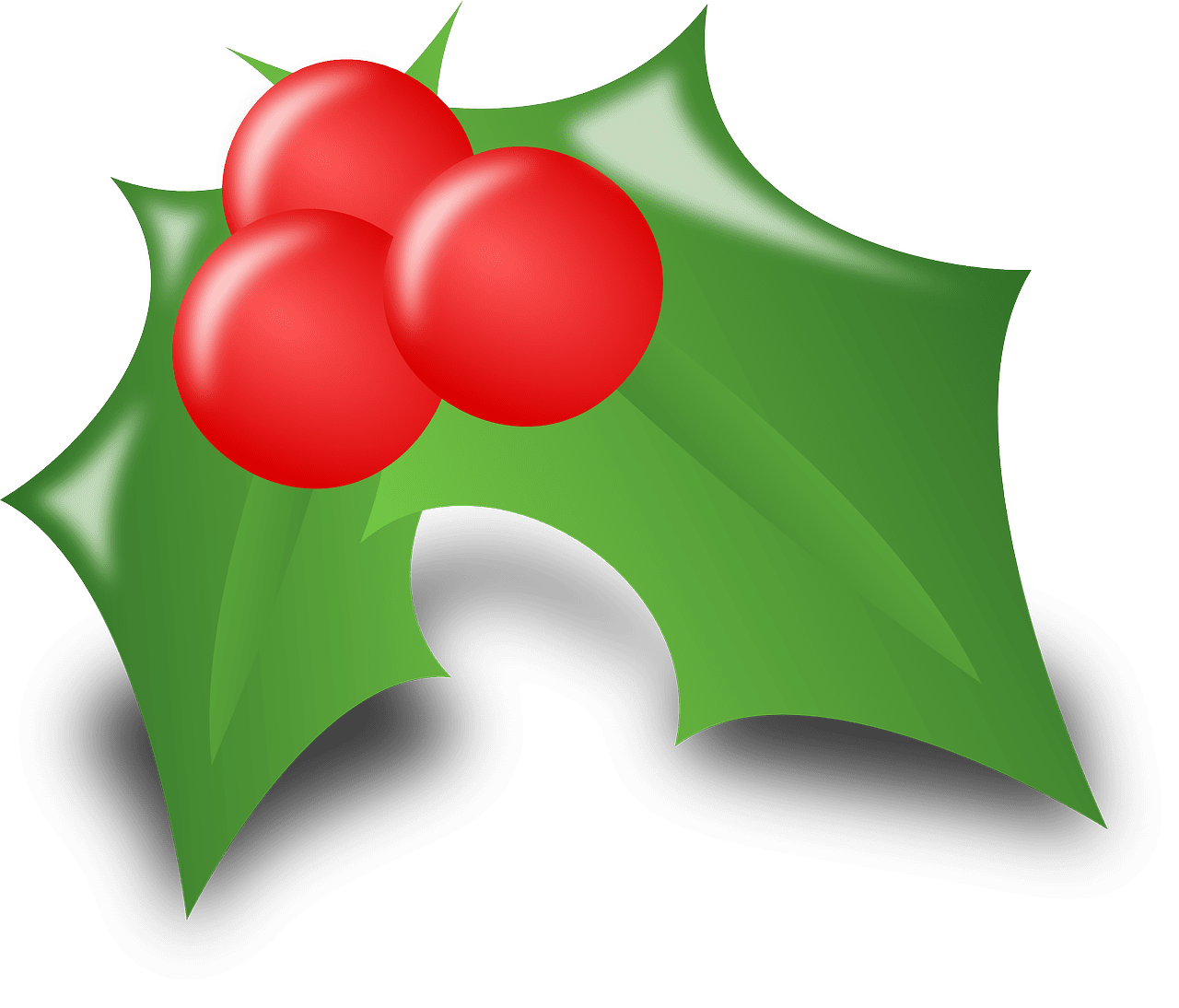 Mistletoe agrifoglio ilex fogliame grafica vettoriale gratu su pixabay clipart transparent