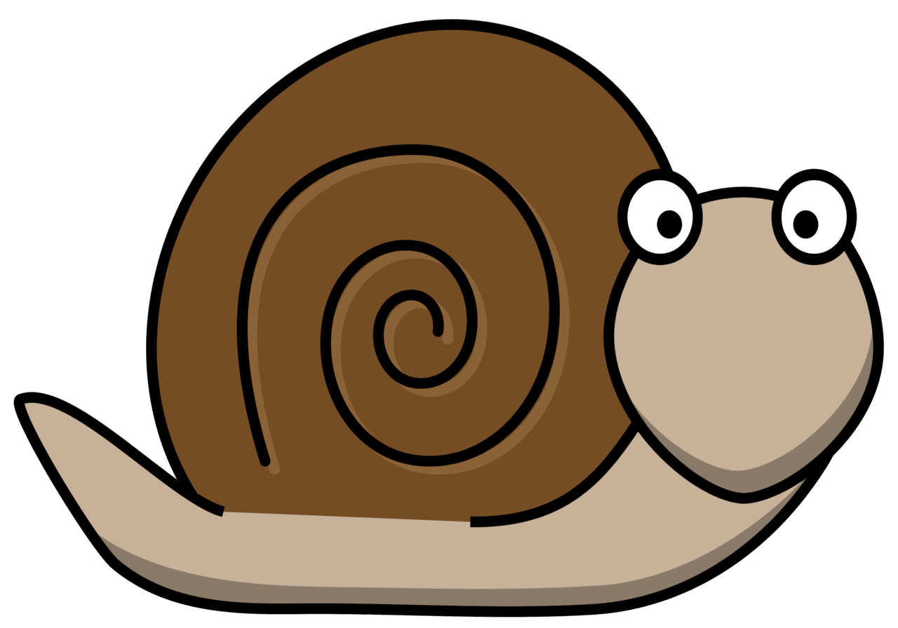 Snail clipart photo