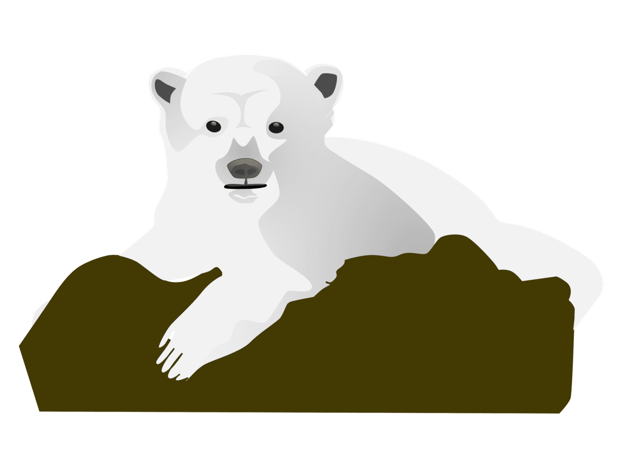 Polar bear clipart clip art