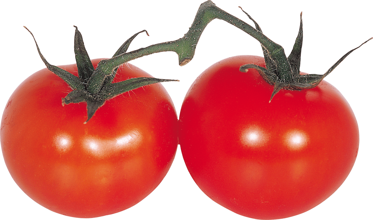 Red tomato es image for clipart 7