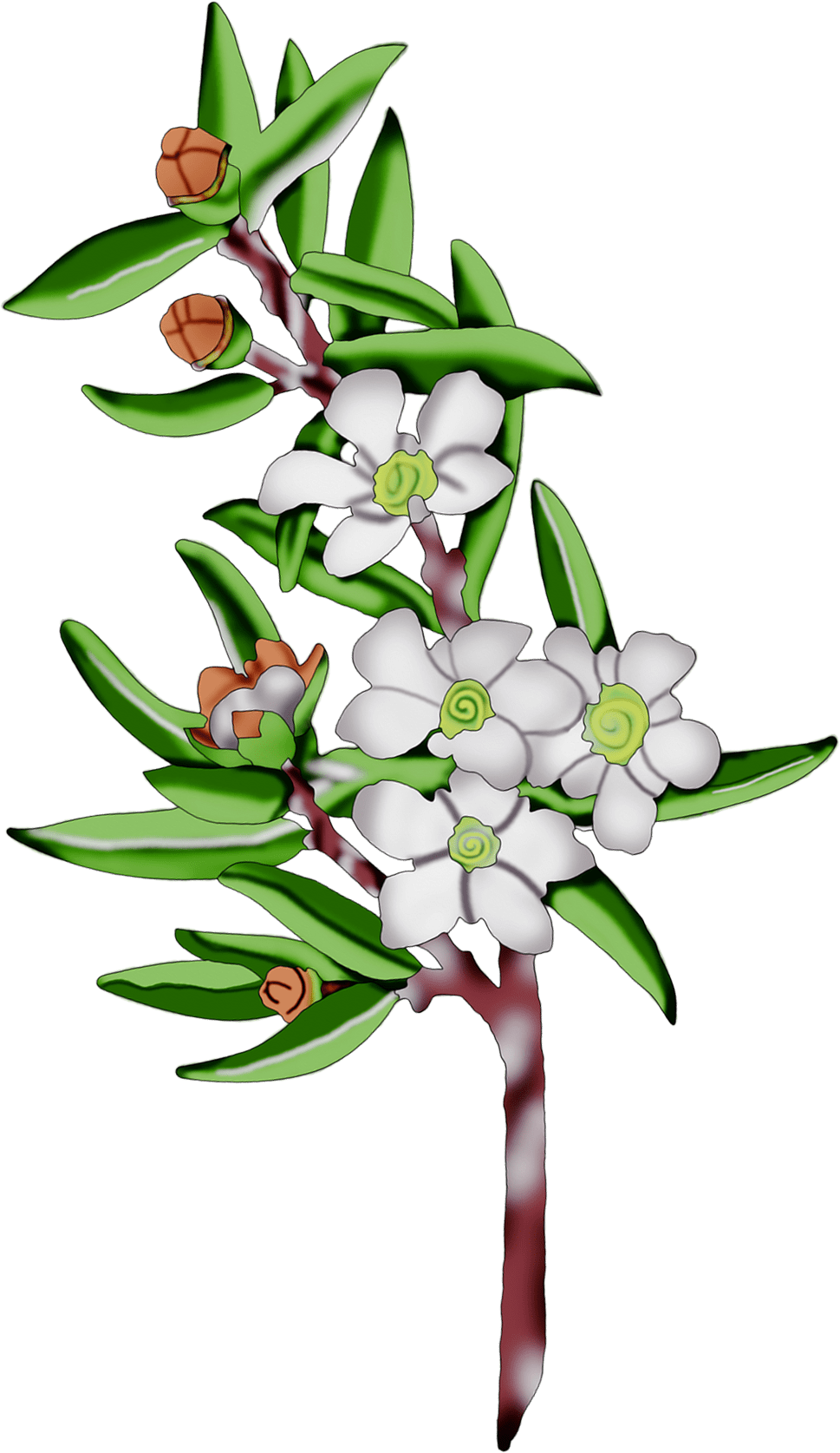 Mistletoe pin page clipart photo