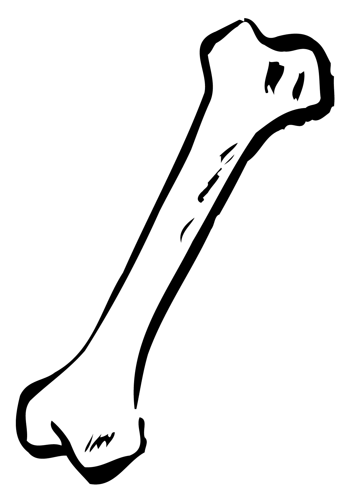 Bone black and white clipart picture