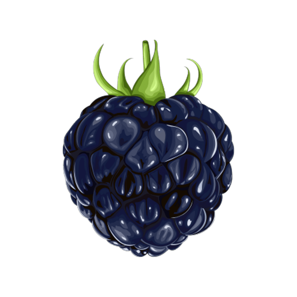 Blueberry blackberry images hd photo clipart