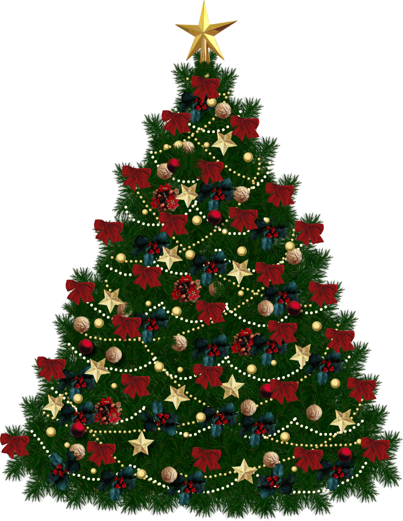 Pine tree christmas tive clipart background