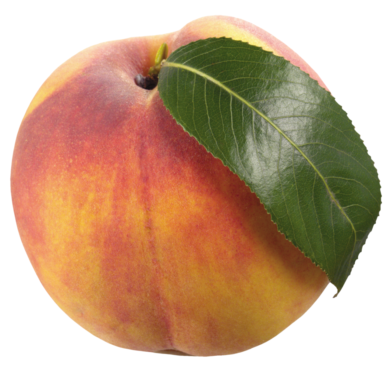 Peach with leaf clipart best vector 2