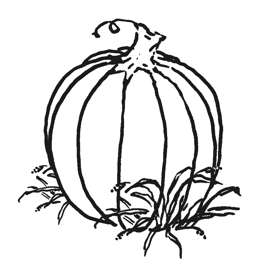 Pumpkin black and white october clipart photo