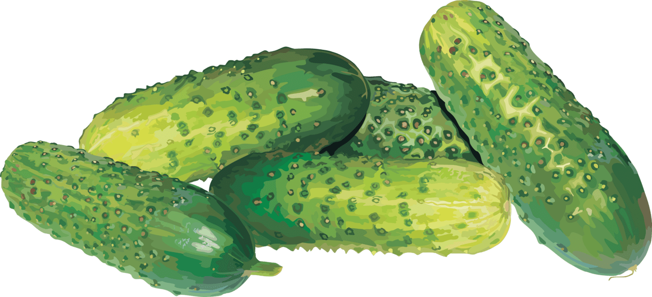 Pickle cucumber clipart free