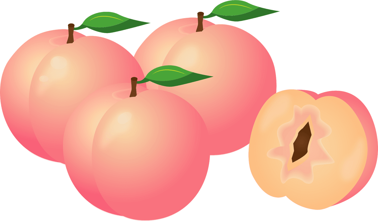 Peach es vector clipart images