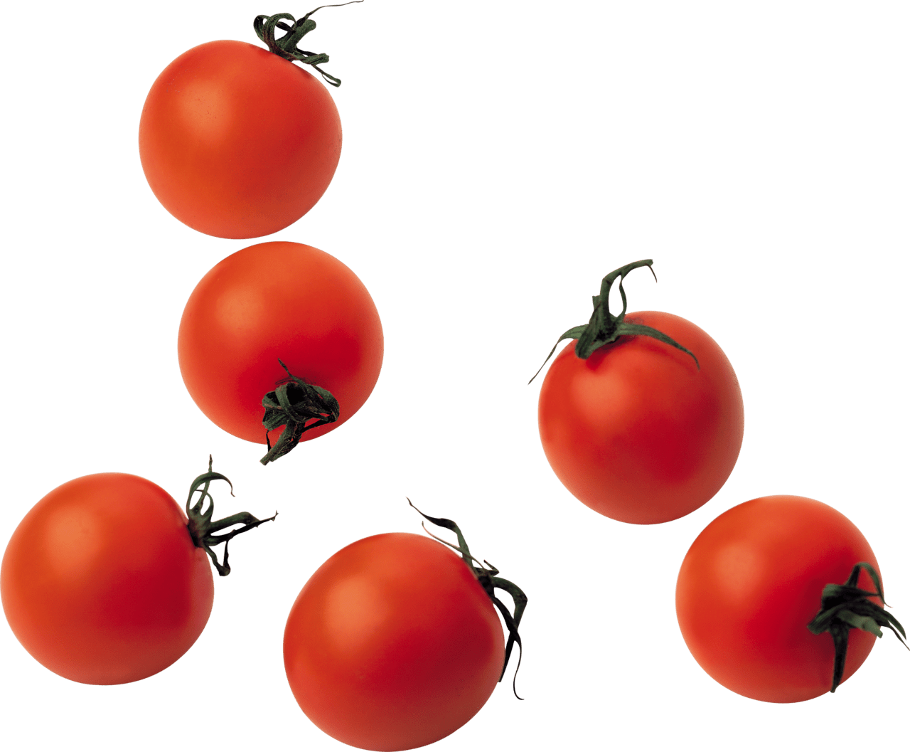 Red tomato es image for clipart 4