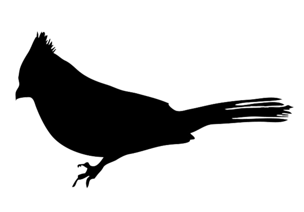 Cardinal bird silhouettes clipart transparent