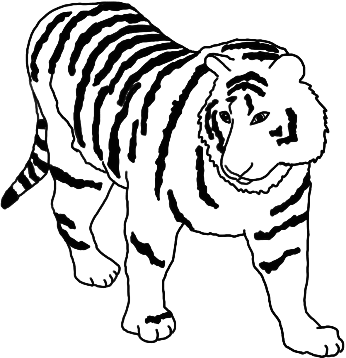 Coloring pages of tiger clipart image