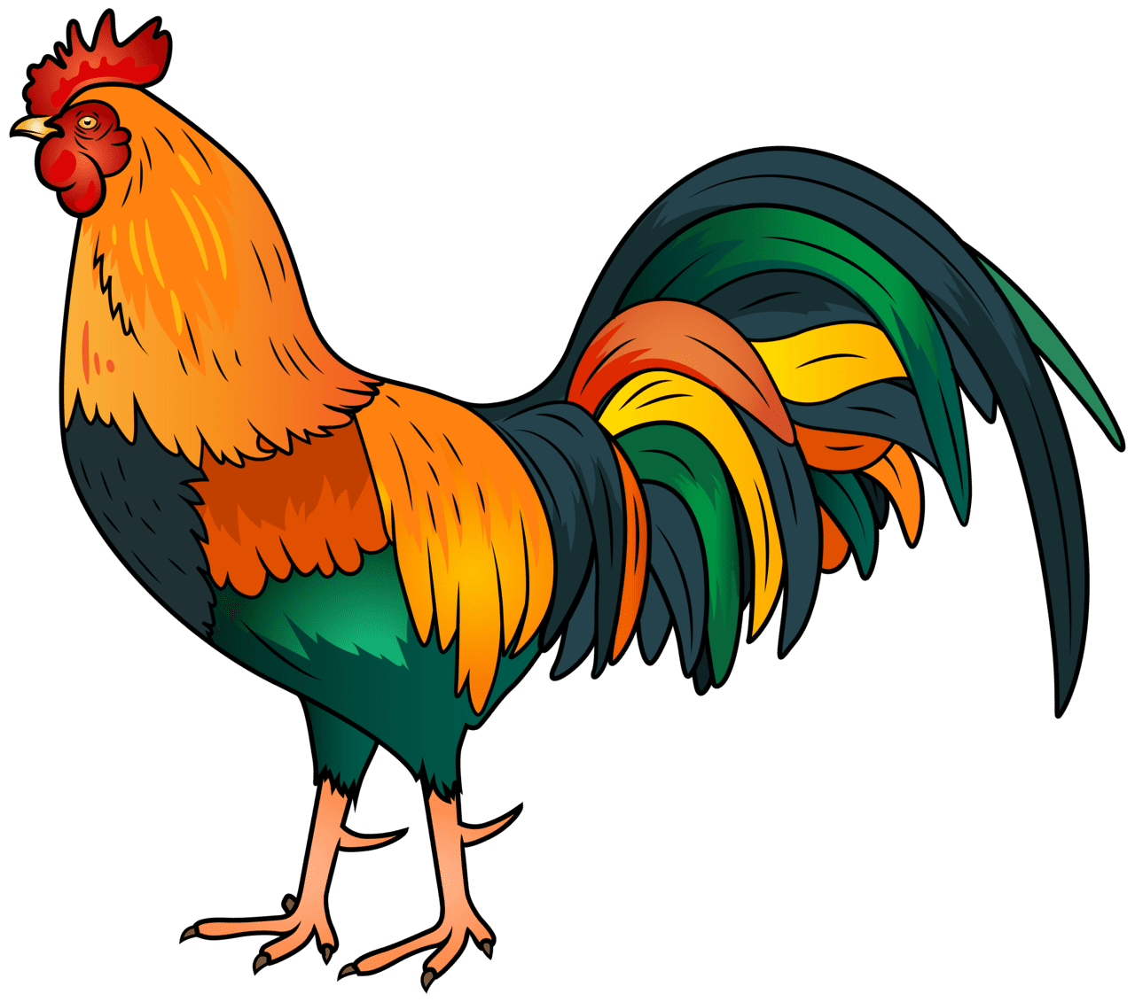 Rooster clipart image